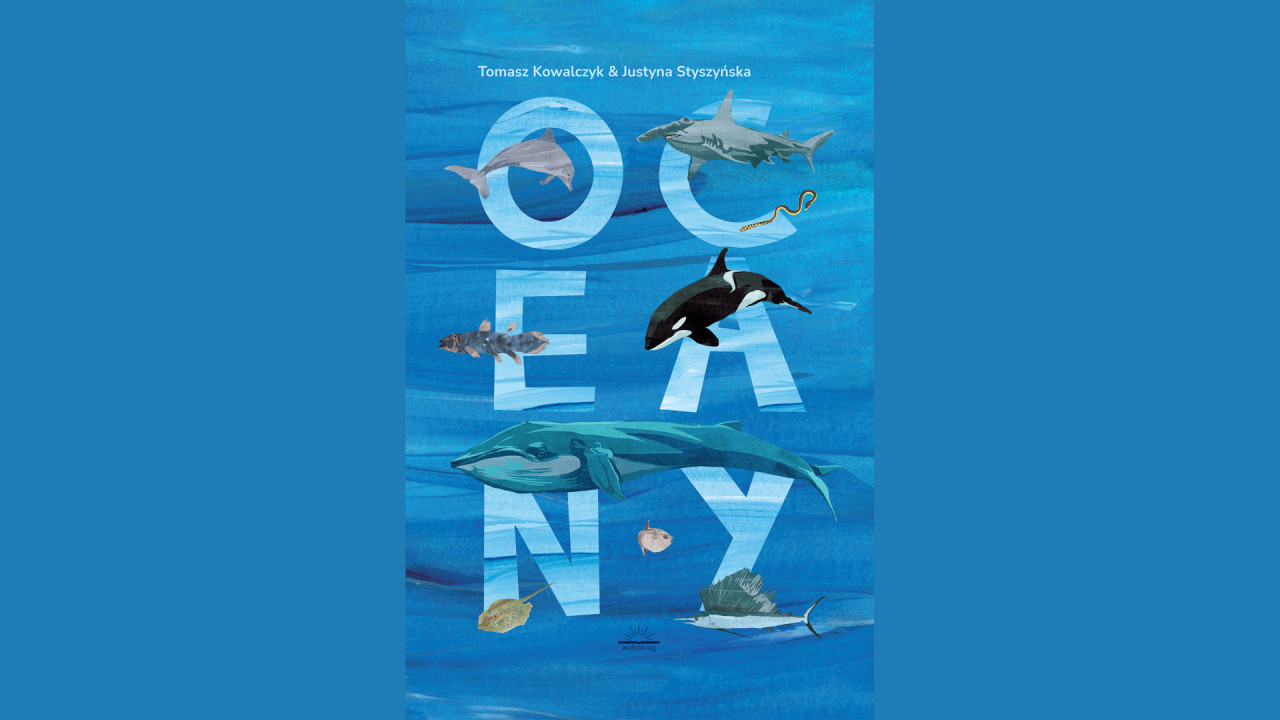 Oceany poster